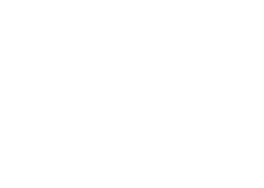 Logo RACI TI
